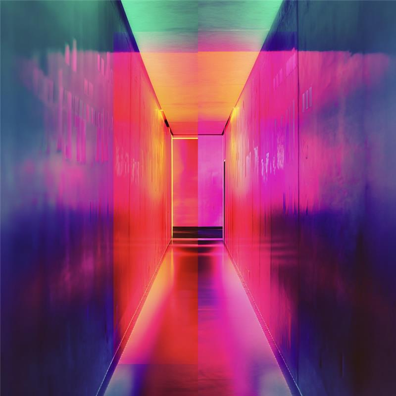 Unlock the Best of Vibrant Vends